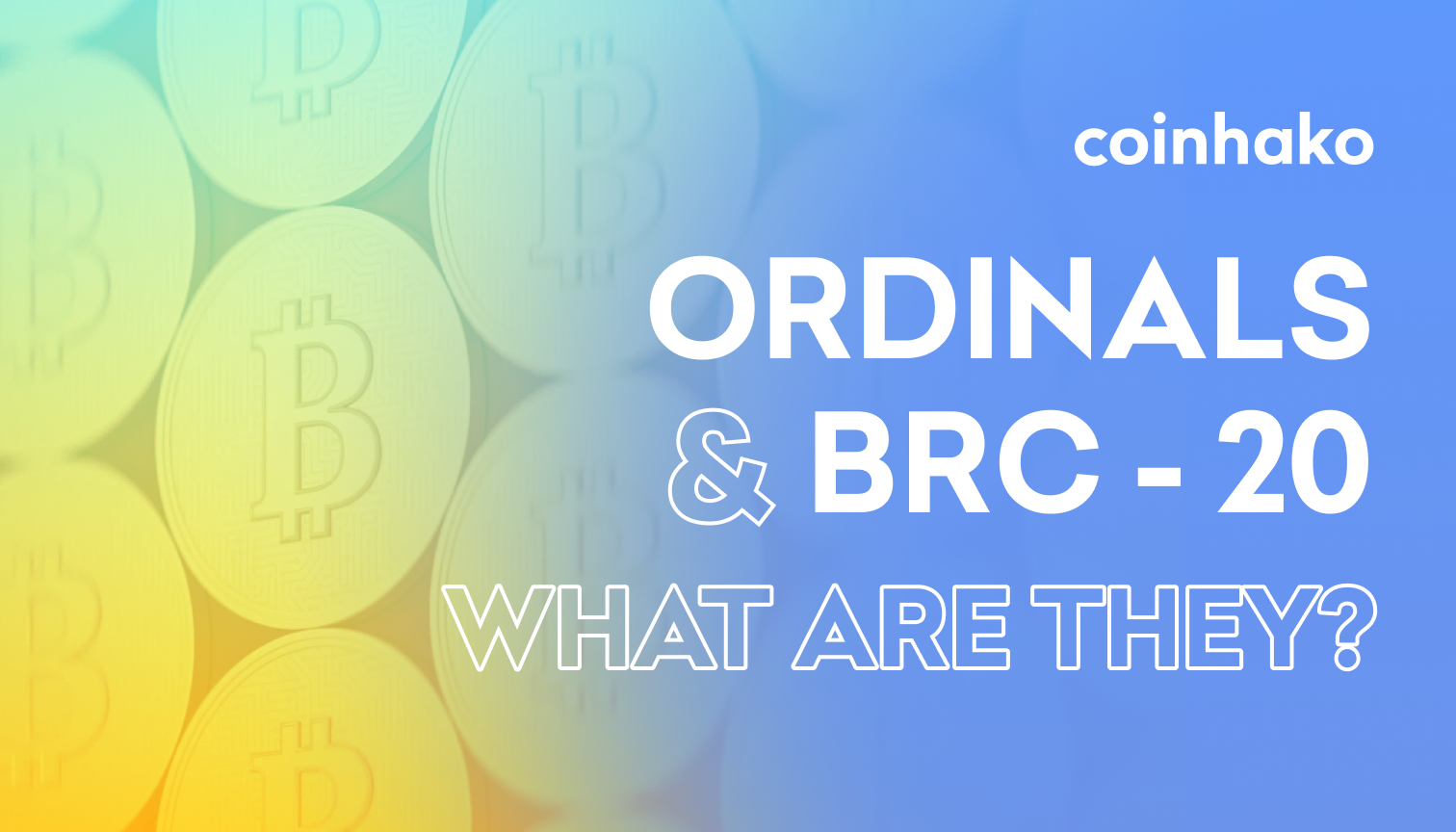 Ordinals & BRC-20: What Are They?