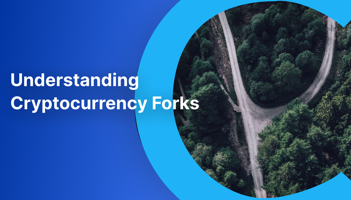 A Guide to Understanding and Navigating the Cryptocurrency Forks