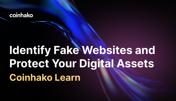 Crypto Phishing Attacks in Singapore: How to Identify Fake Websites and Protect Your Digital Assets